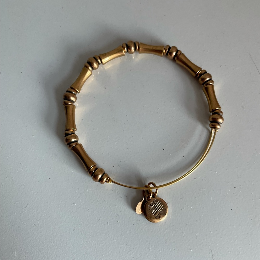 Alex and Ani bracelet